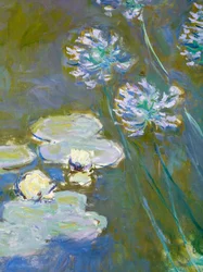 Waterlilies and Agapanthus (detail)